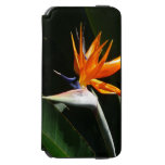 Bird of Paradise Orange Tropical Flower iPhone 6/6s Wallet Case