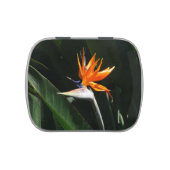 Bird of Paradise Orange Tropical Flower Jelly Belly Tin (Top)
