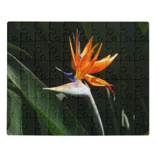 Bird of Paradise Orange Tropical Flower Jigsaw Puzzle