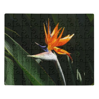 Bird of Paradise Orange Tropical Flower Jigsaw Puzzle