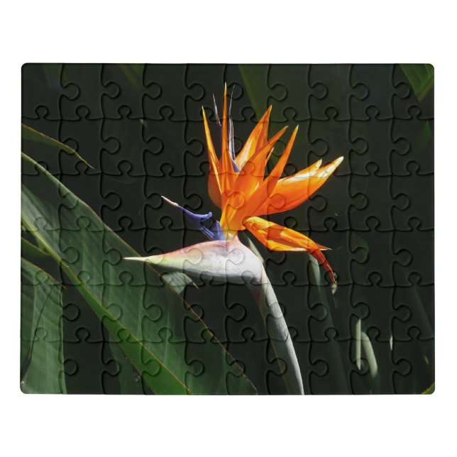 Bird of Paradise Orange Tropical Flower Jigsaw Puzzle (Puzzle Horizontal)