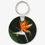 Bird of Paradise Orange Tropical Flower Keychain