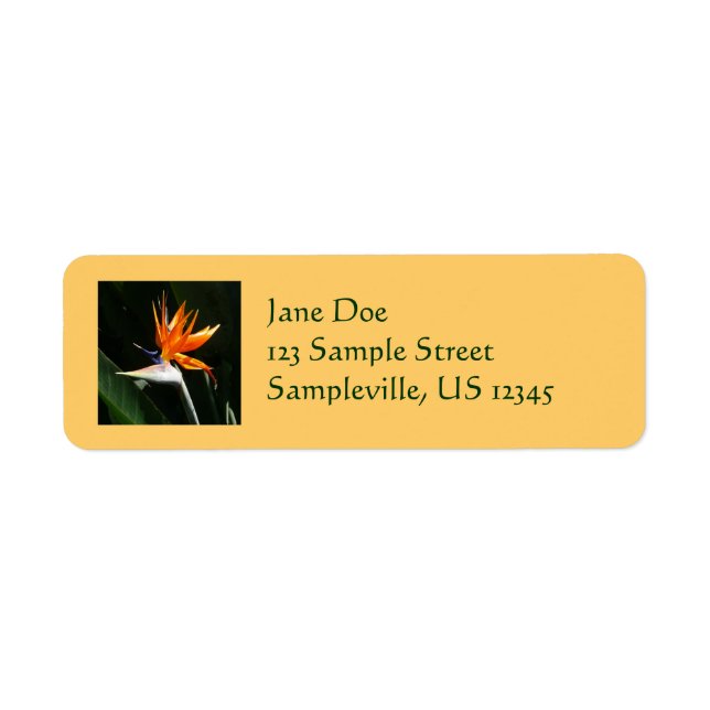 Bird of Paradise Orange Tropical Flower Label (Front)