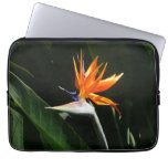 Bird of Paradise Orange Tropical Flower Laptop Sleeve