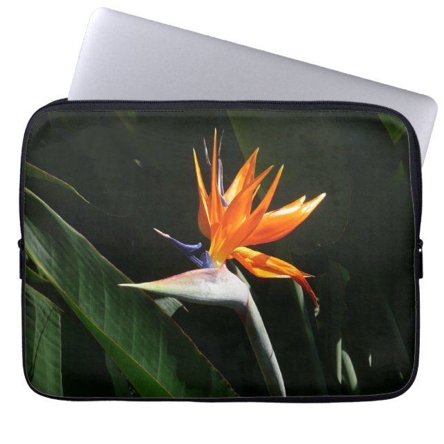 Bird of Paradise Orange Tropical Flower Laptop Sleeve (Front)
