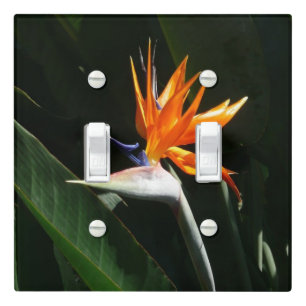 Bird of Paradise Orange Tropical Flower Light Switch Cover