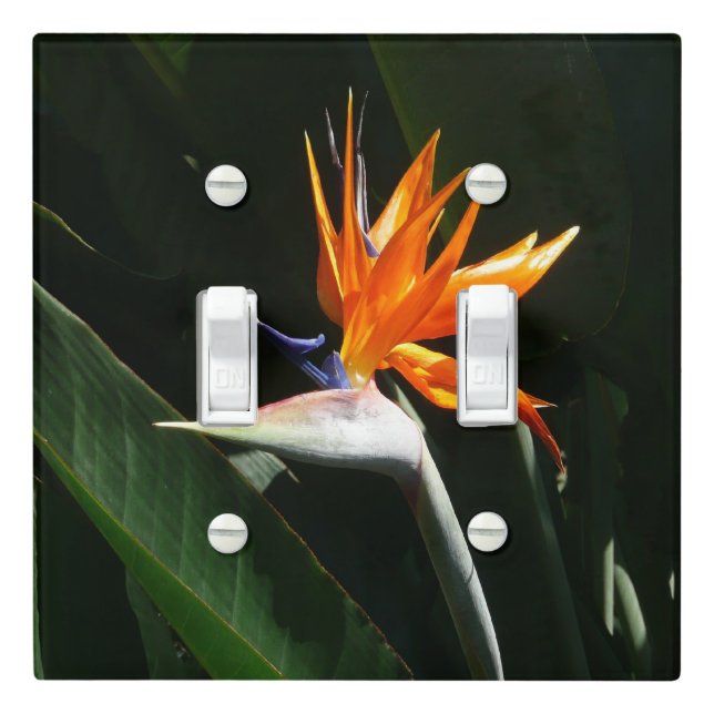 Bird of Paradise Orange Tropical Flower Light Switch Cover (In Situ)