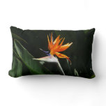 Bird of Paradise Orange Tropical Flower Lumbar Pillow