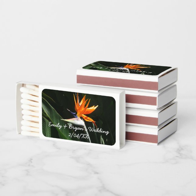 Bird of Paradise Orange Tropical Flower Matchboxes (Stacked)