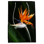 Bird of Paradise Orange Tropical Flower Medium Gift Bag
