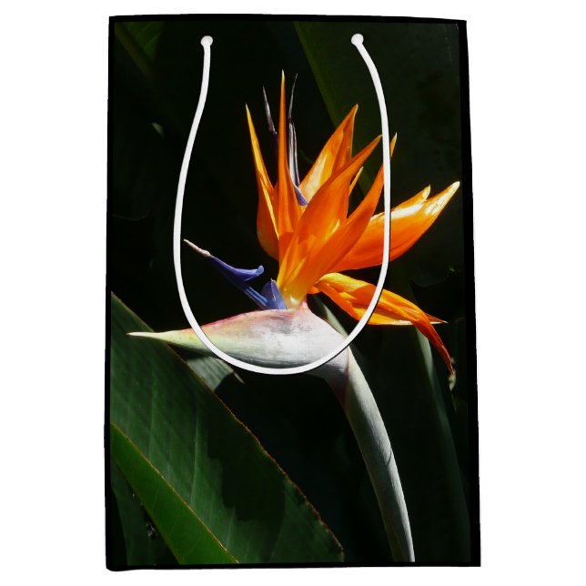 Bird of Paradise Orange Tropical Flower Medium Gift Bag (Front)