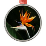 Bird of Paradise Orange Tropical Flower Metal Ornament