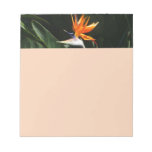 Bird of Paradise Orange Tropical Flower Notepad