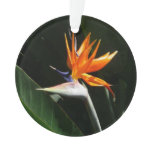 Bird of Paradise Orange Tropical Flower Ornament