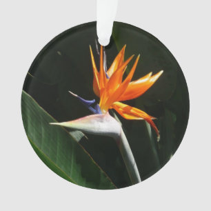 Bird of Paradise Orange Tropical Flower Ornament