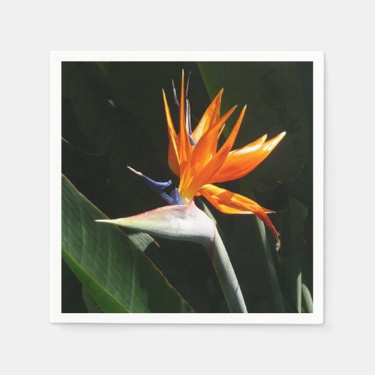 Bird of Paradise Orange Tropical Flower Paper Napkin