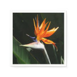 Bird of Paradise Orange Tropical Flower Paper Napkins