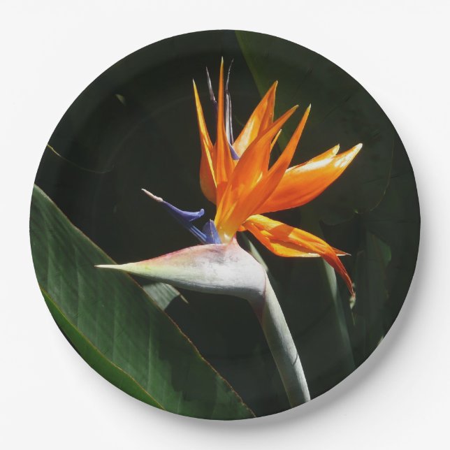 Bird of Paradise Orange Tropical Flower Paper Plates (Front)