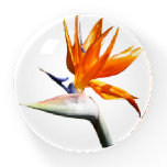 Bird of Paradise Orange Tropical Flower Paperweight