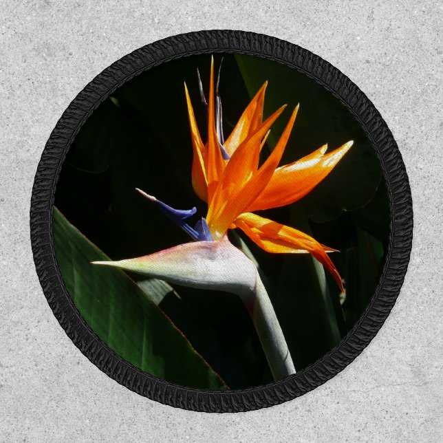 Bird of Paradise Orange Tropical Flower Patch (Front)