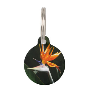 Bird of Paradise Orange Tropical Flower Pet ID Tag