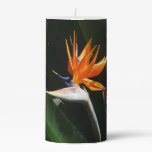 Bird of Paradise Orange Tropical Flower Pillar Candle