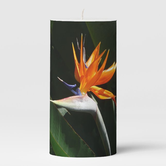 Bird of Paradise Orange Tropical Flower Pillar Candle (Front)