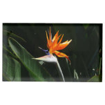 Bird of Paradise Orange Tropical Flower Place Card Holder
