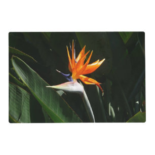 Bird of Paradise Orange Tropical Flower Placemat