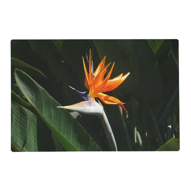 Bird of Paradise Orange Tropical Flower Placemat (Front)