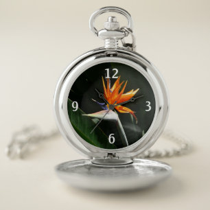 Bird of Paradise Orange Tropical Flower Pocket Watch
