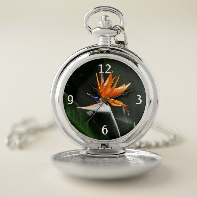 Bird of Paradise Orange Tropical Flower Pocket Watch (Inside)