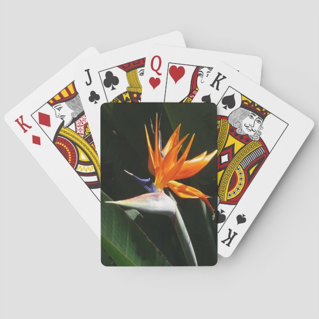 Bird of Paradise Orange Tropical Flower Poker Cards (Back)