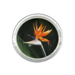 Bird of Paradise Orange Tropical Flower Ring