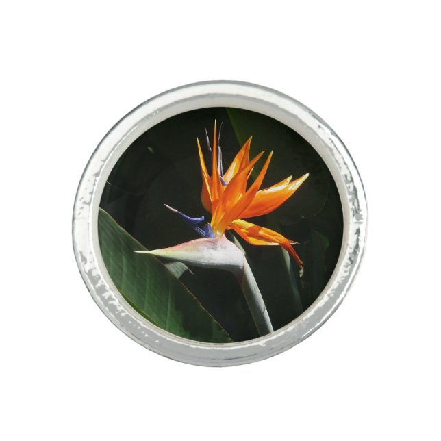 Bird of Paradise Orange Tropical Flower Ring (Front)