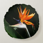 Bird of Paradise Orange Tropical Flower Round Pillow