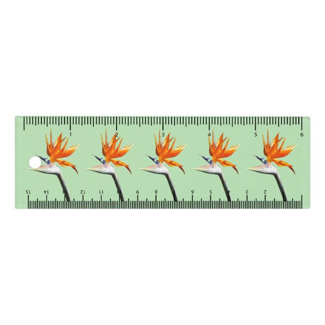 Bird of Paradise Orange Tropical Flower Ruler (Front)