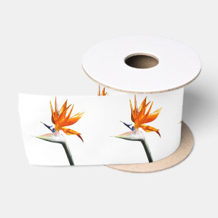Bird of Paradise Orange Tropical Flower Satin Ribbon