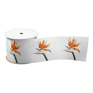 Bird of Paradise Orange Tropical Flower Satin Ribbon