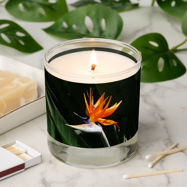Bird of Paradise Orange Tropical Flower Scented Candle (Lit)