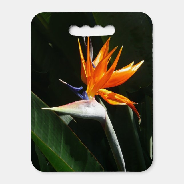 Bird of Paradise Orange Tropical Flower Seat Cushion (Front Vertical)