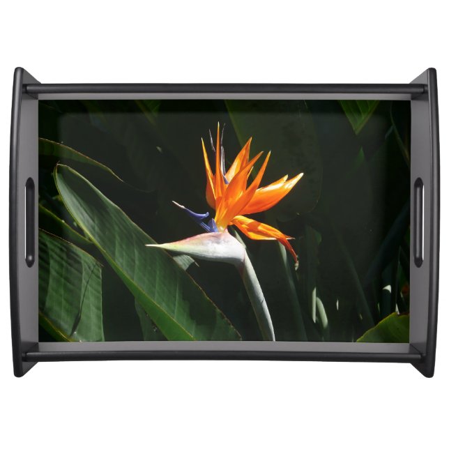 Bird of Paradise Orange Tropical Flower Serving Tray (Front)