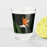 Bird of Paradise Orange Tropical Flower Shot Glass