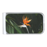 Bird of Paradise Orange Tropical Flower Silver Finish Money Clip