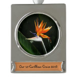 Bird of Paradise Orange Tropical Flower Silver Plated Banner Ornament