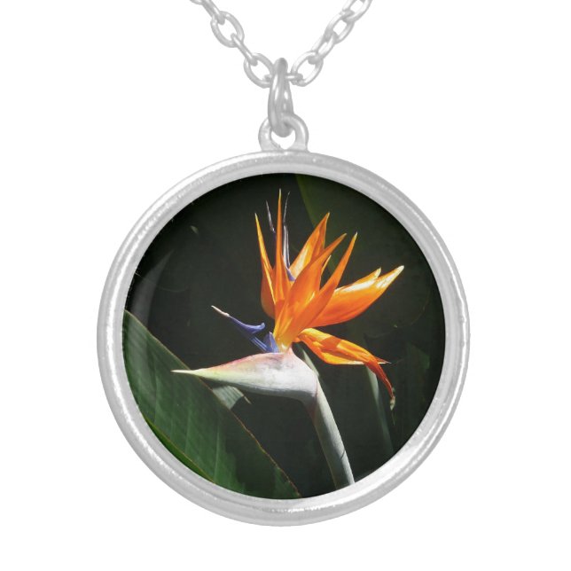 Bird of Paradise Orange Tropical Flower Silver Plated Necklace (Front)