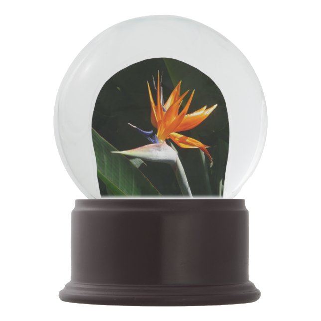 Bird of Paradise Orange Tropical Flower Snow Globe (Back)