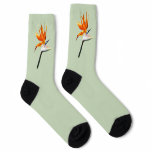 Bird of Paradise Orange Tropical Flower Socks