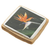 Bird of Paradise Orange Tropical Flower Square Shortbread Cookie (Angled)