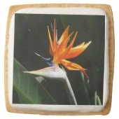 Bird of Paradise Orange Tropical Flower Square Shortbread Cookie (Front)